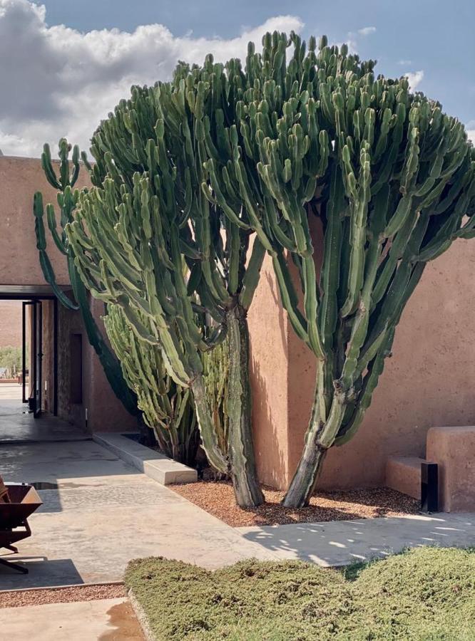 Villa K Marrakesz Zewnętrze zdjęcie